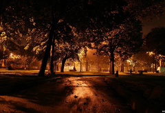 ночной, парк, фонари