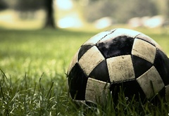 мяч, трава, футбол