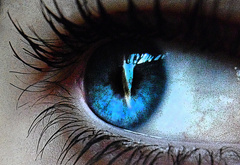 Глаз, голубое, ресницы