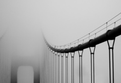 Мост, туман, черное-белое