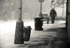 снег, ненастье, силуэт, улица