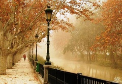 парк, набережная, фонарь, река, осень