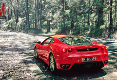 Ferrari, F430, Woods