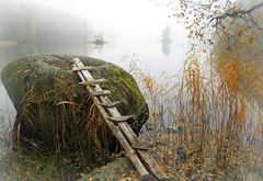 осень, туман, сено