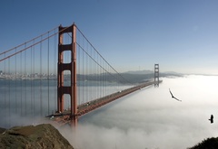 bridge, sky, fog