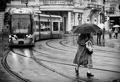 улица, трамвай, дождь, прошлый, век
