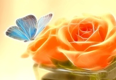 Бабочка, и роза, сюжет этой...