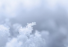 Кристаллы, выпавшего, снега