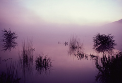 озеро, надежды, в, тумане