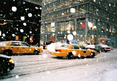 yellow, taxi, in a new york, snow