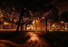 парк, деревья, свет