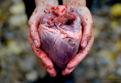 release, the, heart