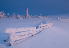 Зима, снег, забор