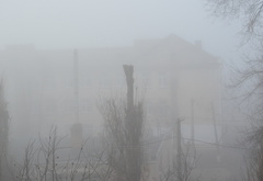 туман, деревья, здания