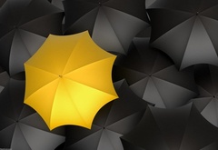 чёрные, зонты, один, жёлтый, зонтик