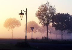 туман, дорога, фонарь, деревья