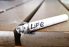 жизнь, сгорает, как, сигарета