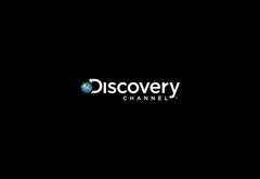 discovery, логотип, минимализм