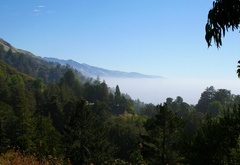 Панорама, вид, горы, туман