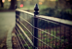 Ограда, парк, дорожка