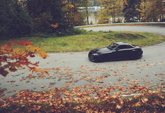Honda, Black, Чёрная, Осень, Листья