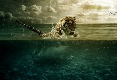 Тигр, вода, рыба