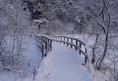 мост, зима, снег
