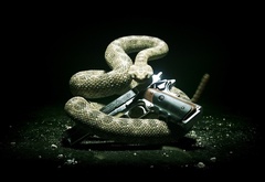 змея и пистолет