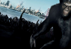 Rise of planet of the apes